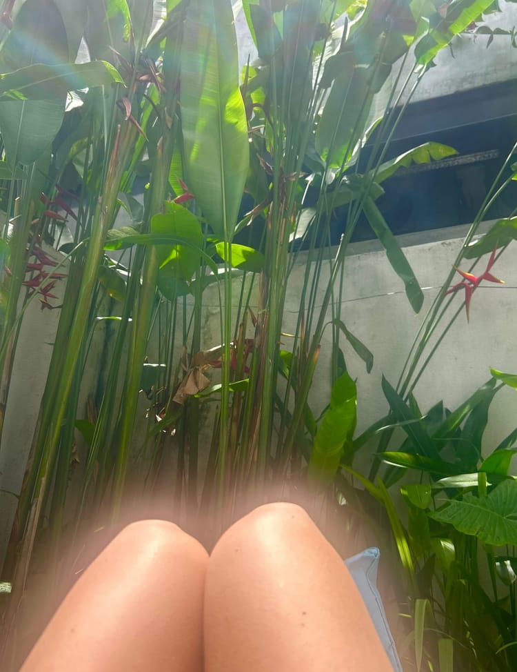 What My System Has Actually Been Moving Through